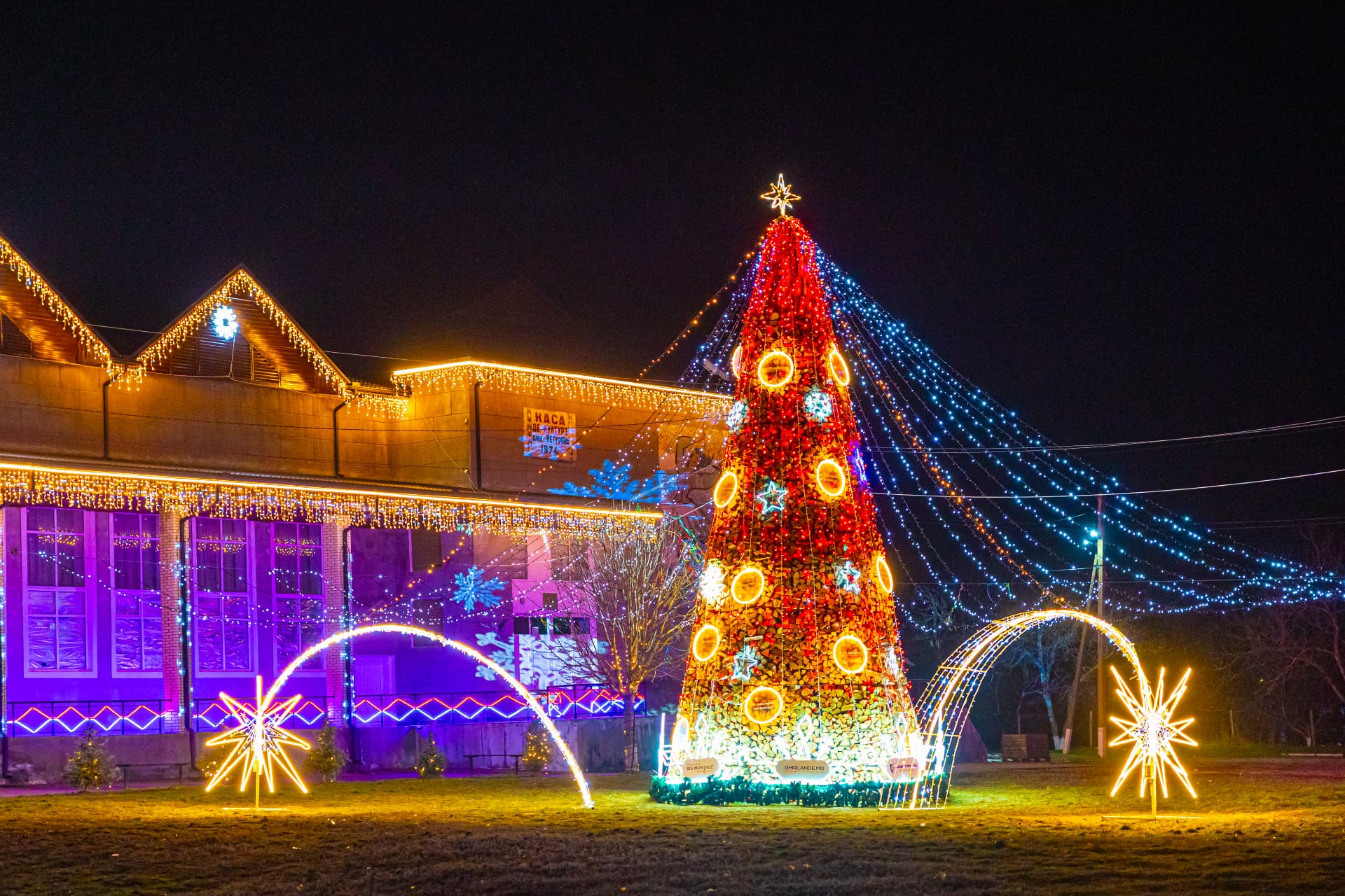 Decorul luminos al evenimentului Căldura Pomului de Crăciun