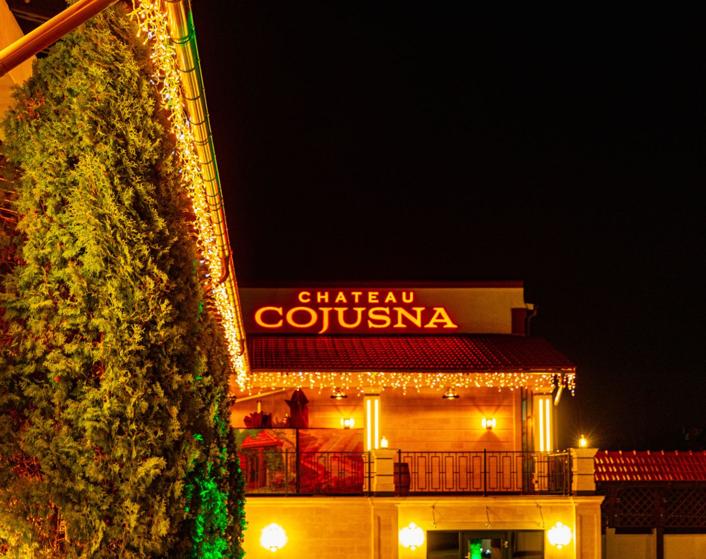 Chateau Cojușna — fotografia 5